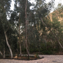 фото из отзыва ID 1858024