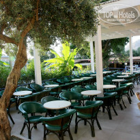 фото из отзыва ID 1858188