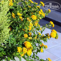 фото из отзыва ID 1858204