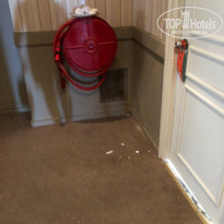 фото из отзыва ID 1858223