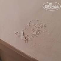 фото из отзыва ID 1858223