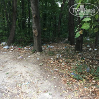 фото из отзыва ID 1858469