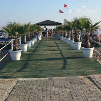 фото из отзыва ID 1858512