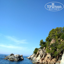 фото из отзыва ID 1858517