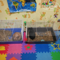 фото из отзыва ID 1858568