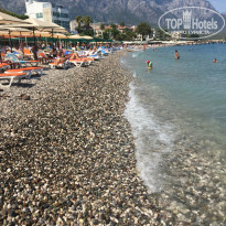 фото из отзыва ID 1858615