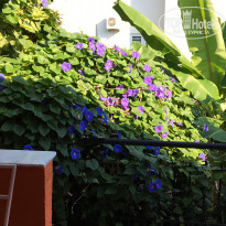 фото из отзыва ID 1858615