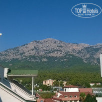 фото из отзыва ID 1858664