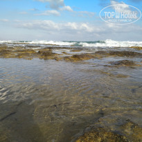 фото из отзыва ID 1858585