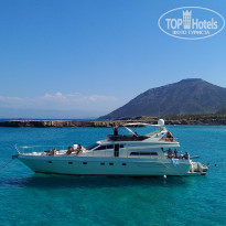 фото из отзыва ID 1858801