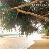 фото из отзыва ID 1858862