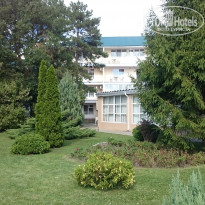 фото из отзыва ID 1858874