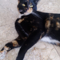 фото из отзыва ID 1858992