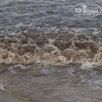 фото из отзыва ID 1859125