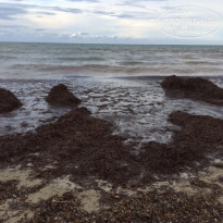 фото из отзыва ID 1859125