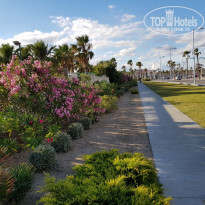 фото из отзыва ID 1854852