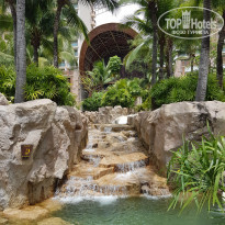 фото из отзыва ID 1859415