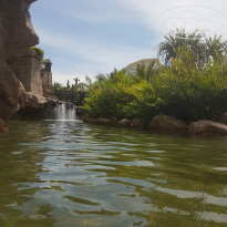 фото из отзыва ID 1859415