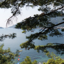 фото из отзыва ID 1859436