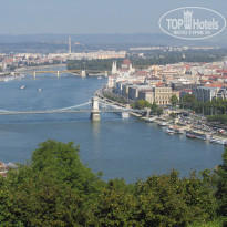 фото из отзыва ID 1859211