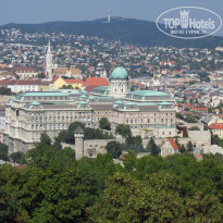 фото из отзыва ID 1859211