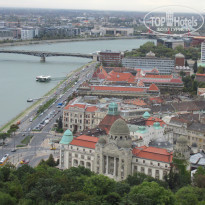 фото из отзыва ID 1859211