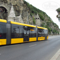 фото из отзыва ID 1859211