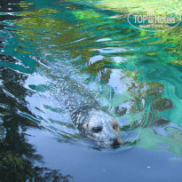 фото из отзыва ID 1859211