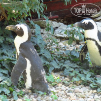 фото из отзыва ID 1859211