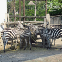 фото из отзыва ID 1859211