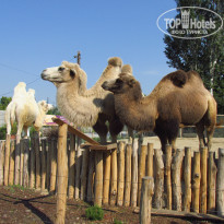 фото из отзыва ID 1859211