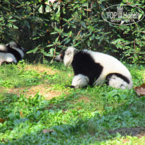 фото из отзыва ID 1859211