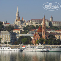 фото из отзыва ID 1859211