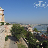 фото из отзыва ID 1859211