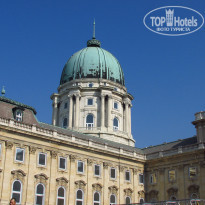 фото из отзыва ID 1859211