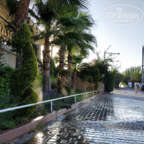 фото из отзыва ID 1859464