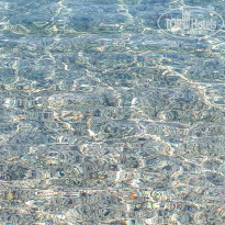 фото из отзыва ID 1859694