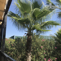 фото из отзыва ID 1859766