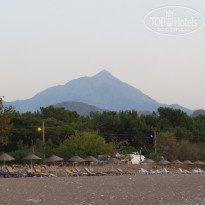 фото из отзыва ID 1859776