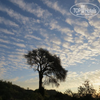 фото из отзыва ID 1859776