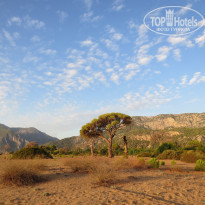 фото из отзыва ID 1859776