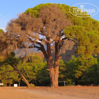 фото из отзыва ID 1859776