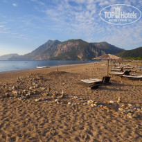 фото из отзыва ID 1859776