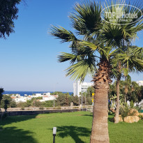 фото из отзыва ID 1859835