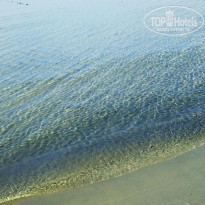 фото из отзыва ID 1859854