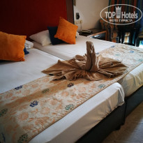 фото из отзыва ID 1859883