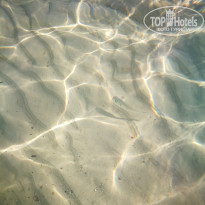 фото из отзыва ID 1859883