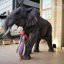 фото из отзыва ID 1859883