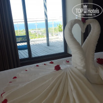 фото из отзыва ID 1859956