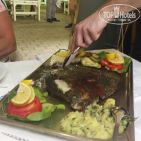 фото из отзыва ID 1859943